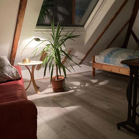 Privates Appartment Ferienwohnung Im Einfamilienhaus Дюссельдорф Экстерьер фото